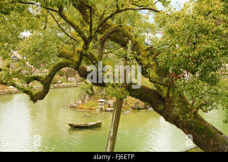 Ten Man Tree Japan, Dazaifu, Tenman-gu, shinto shrine, priest, ceremony Stock Photo ...