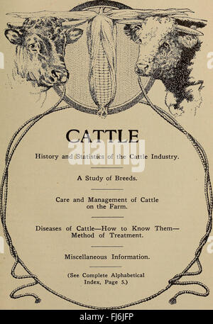 Dr. David Roberts practical home veterinarian (1906) Stock Photo