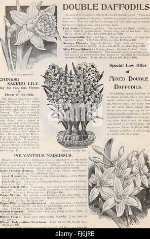 Dreer's 1897 autumn catalogue - bulbs, plants, seeds &c (1897) Stock Photo