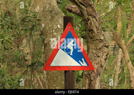 Crocodile warning signs at Saint Lucia, isimangaliso wetlands reserve,  KwaZulu-Natal, South Africa. Stock Photo