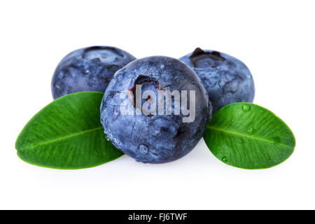 Blueberries Water Droplets Isolated