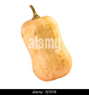 Pumpkin butternut isolated clipping path included Stock Photo