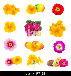 Collection of  Spring Flowers Easter Eggs Stock Photo