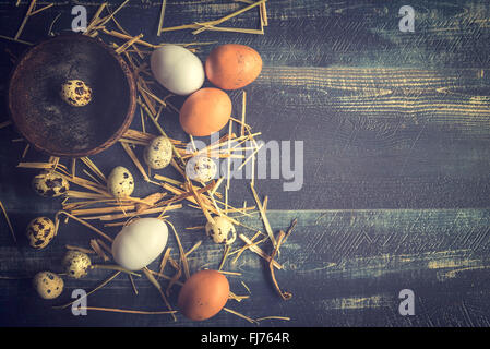 Variations of eggs in the nest on wooden background with copy space Stock Photo