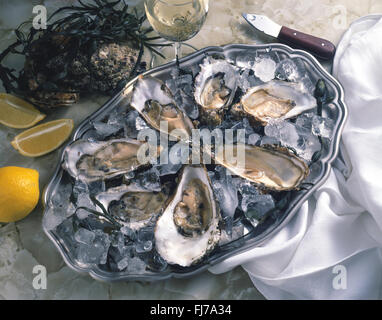 Tray of fresh oysters in shells, Whitstable, Kent, England, United Kingdom Stock Photo