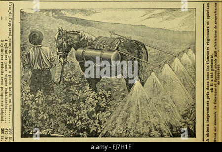 Revue de viticulture - organe de l'agriculture des rC3A9gions viticoles (1898) Stock Photo
