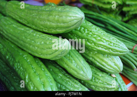 Momordica charantia often called bitter melon, bitter gourd or bitter squash in English, has many other local names. Stock Photo