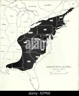 The distribution of important forest trees of the United States (1938) Kalmia latifolia Stock Photo