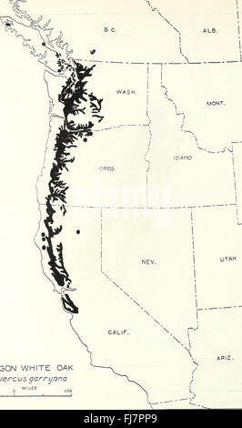 The distribution of important forest trees of the United States (1938) Quercus garryana Stock Photo