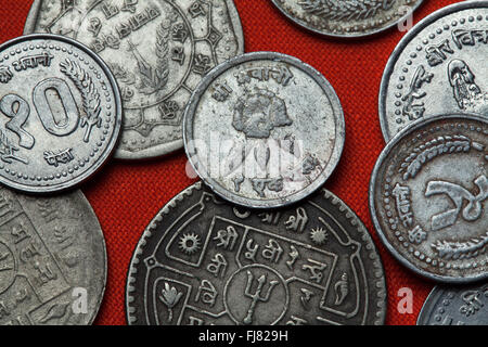 Coins of Nepal. Rhododendron flower depicted in the Nepalese 10 paisa coin. Stock Photo