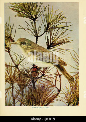 Birds of lakeside and prairie, Birds SIL Smithsonian Institution ...