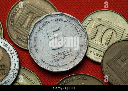 Coins of Israel. Israeli five new shekels coin Stock Photo - Alamy