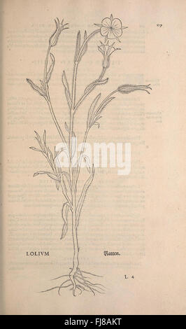 A significant botanical work from the pre-Linnean period, focusing on ...