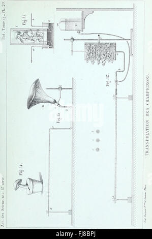 Annales des Sciences Naturelles Botaniques (1884) Stock Photo