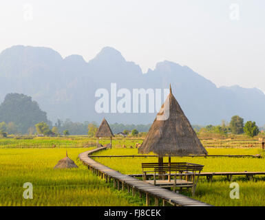 Rice field and cottage Stock Photo