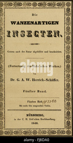 Die wanzenartigen Insecten - getreu nach der Natur abgebildet und beschrieben (1831) Stock Photo