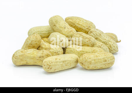 Dried peanuts  in closeup on white background. Stock Photo