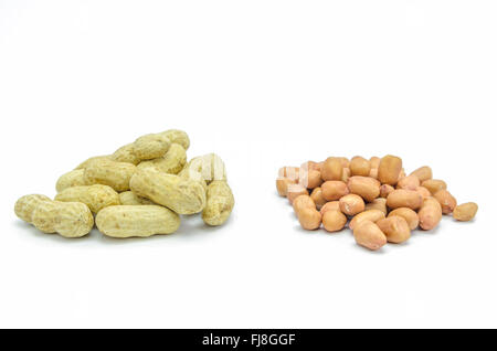 Dried peanuts  in closeup on white background. Stock Photo