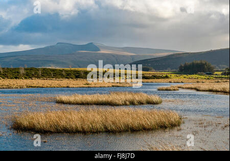 Pen y Fan and Corn Du from Mynydd Illtyd Common Brecon Beacons south Wales on a bright winter day Stock Photo