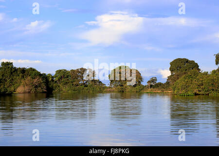 Rio Pixaim Pantanal, river, river scenery, Pantanal, Mato Grosso, Brazil, South America Stock Photo