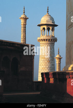 Top of taj mahal, agra, delhi, india, asia Stock Photo