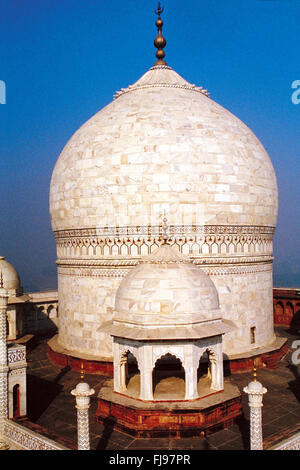 Top of taj mahal, agra, delhi, india, asia Stock Photo