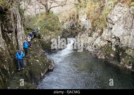 Walkers walking on narrow rocky path in Lledr Gorge in Snowdonia National Park near Dolwyddelan, Conwy, North Wales, UK, Britain Stock Photo