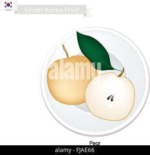 South Korea Fruits, Illustration of Delicious Korean Pear. One of Most Popular Fruits in South Korea. Stock Vector