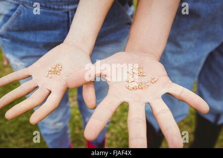 Young couple with seeds in hand Stock Photo