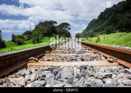 Railroad tracks, South Island, New Zealand Stock Photo