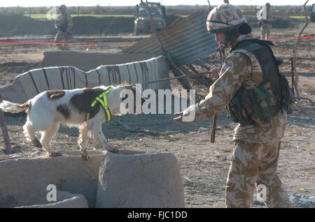 The welsh guards battel group on there tour of duty in Iraq 2004. they were posted just out side al Arhmar in southern Iraq. and it included bom disposal weapon finds and security patrols.they were there 2004/2005 op telic 5. Stock Photo