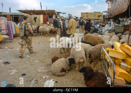 The welsh guards battel group on there tour of duty in Iraq 2004. they were posted just out side al Arhmar in southern Iraq. and it included bom disposal weapon finds and security patrols.they were there 2004/2005 op telic 5. Stock Photo