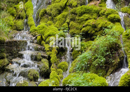 Val di Tenno, running water, moss, Riva del Garda, Lake Garda, Trentino, Italy Stock Photo