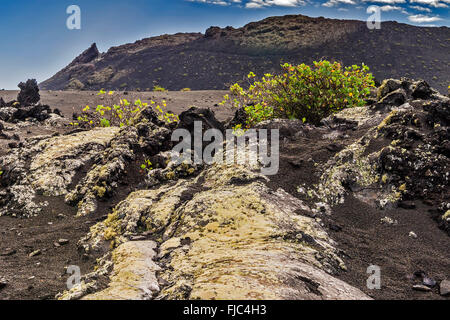 Lava Flows Volcanic Landscape Lanzarote Canary Islands Stock Photo