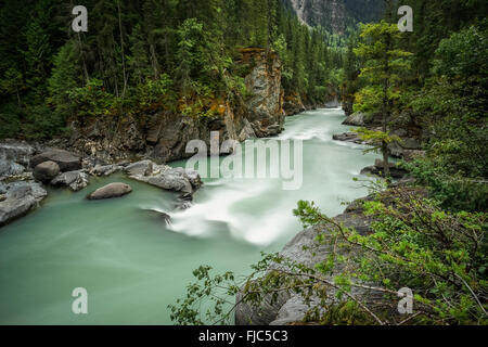 Overlander Falls Trail, Mount Robson Provincial Park, British Columbia, Canada, Fraser River Stock Photo