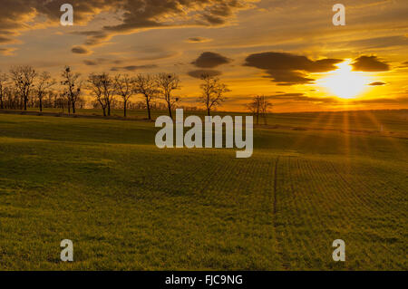 Sunset over winter crops fields in central Ukraine Stock Photo