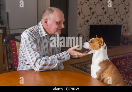 Mature man having conversation with basenji dog sitting at the table Stock Photo