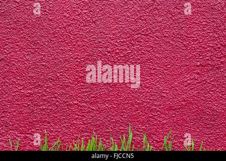 crimson rough plastered painted wall and grass Stock Photo