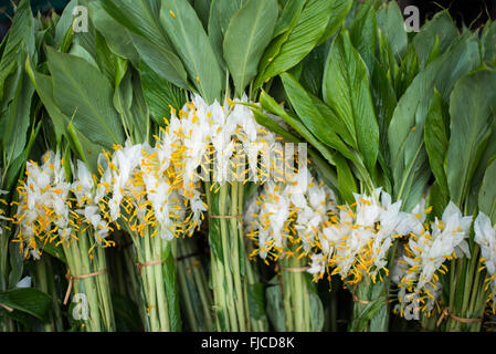 MANDALAY, Myanmar — The afternoon flower street market in Mandalay ...