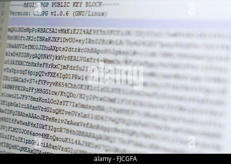 Public encryption key displayed on a screen Stock Photo
