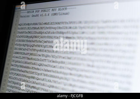 Public encryption key displayed on a screen Stock Photo