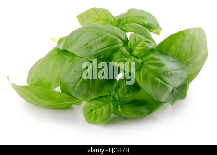 basil leaves isolated on the white background. Stock Photo