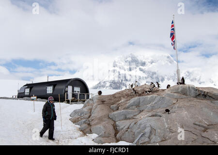 Penguin Post Office the old research station at Port Lockroy, Antarctica. Postal worker leaving living quarters. Stock Photo