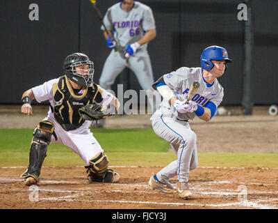 Orlando, FL, USA. 1st Mar, 2016. Florida infielder Deacon Liput (8) at bat during NCAA baseball game action between the Florida Gators and the UCF Knights. Florida defeated UCF 9-5 at Jay Bergman Field in Orlando, FL Romeo T Guzman/CSM/Alamy Live News Stock Photo