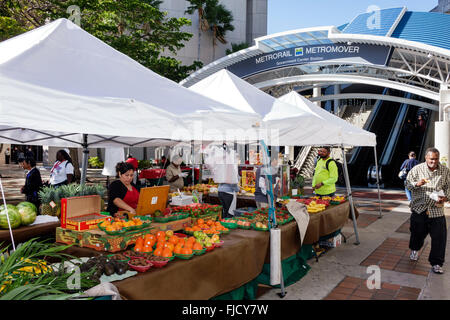 Miami Florida,Stephen P. Clark Government Center,centre,produce market,sale,display sale FL160226043 Stock Photo