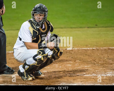 Orlando, FL, USA. 1st Mar, 2016. UCF catcher Logan Heiser (23) during NCAA baseball game action between the Florida Gators and the UCF Knights. Florida defeated UCF 9-5 at Jay Bergman Field in Orlando, FL Romeo T Guzman/CSM/Alamy Live News Stock Photo