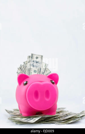 Piggy bank on pile of 100 dollar notes Stock Photo