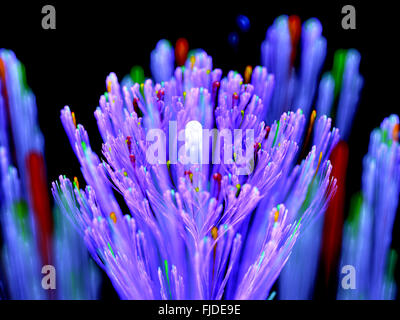 Purple glowing levander fractal, computer generated abstract background Stock Photo