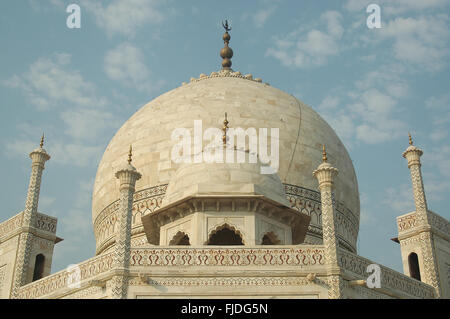 Top of taj mahal, agra, delhi, india, asia Stock Photo