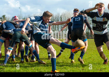 Under 16 age group rugby union match  between Walcot RFC and Avonvale RFC in Bath, UK Stock Photo
